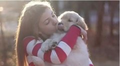 秘籍-很快讓你拉近和狗狗的關系—華興寵物