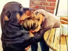 關于狗子，你不知道的秘密