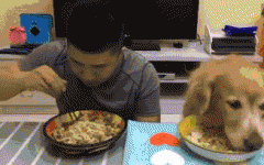 如果你家也有只吃貨狗狗，這點一定要注意！