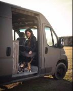 流浪貓私自闖上車被趕出，最后居然搭上順風(fēng)車